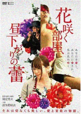 夏日回声剧场版封面